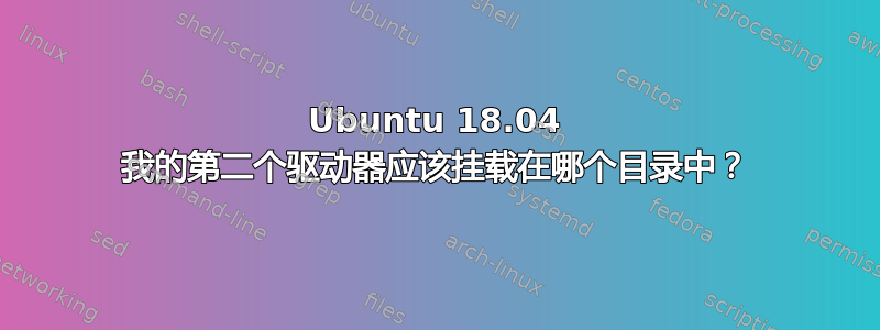 Ubuntu 18.04 我的第二个驱动器应该挂载在哪个目录中？