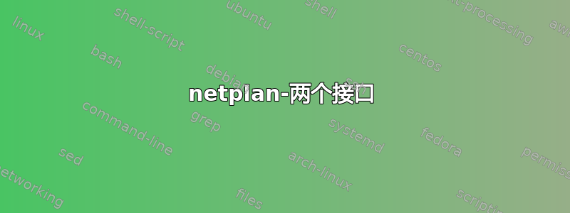 netplan-两个接口