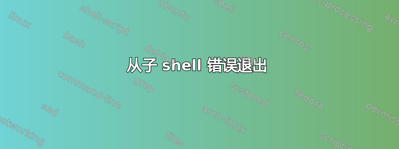 从子 shell 错误退出