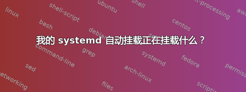 我的 systemd 自动挂载正在挂载什么？