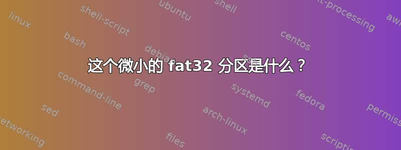 这个微小的 fat32 分区是什么？