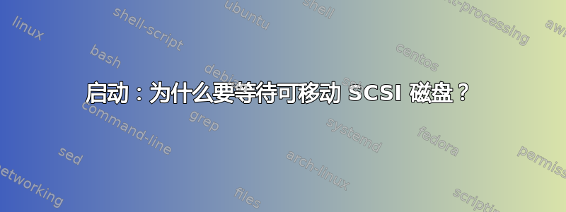 启动：为什么要等待可移动 SCSI 磁盘？