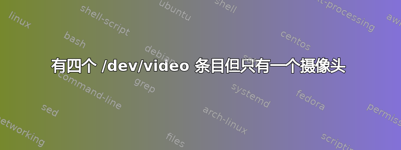 有四个 /dev/video 条目但只有一个摄像头