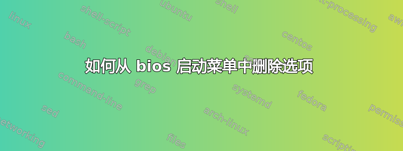 如何从 bios 启动菜单中删除选项