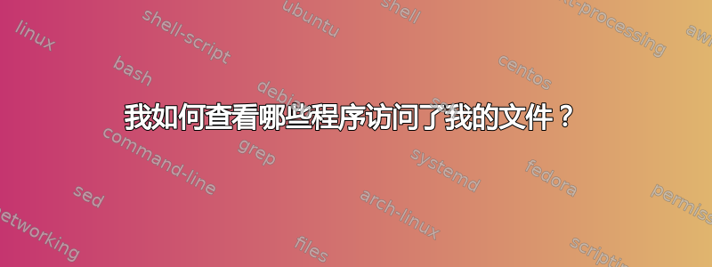 我如何查看哪些程序访问了我的文件？