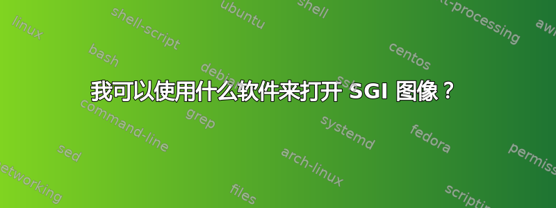 我可以使用什么软件来打开 SGI 图像？