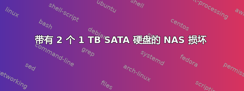 带有 2 个 1 TB SATA 硬盘的 NAS 损坏