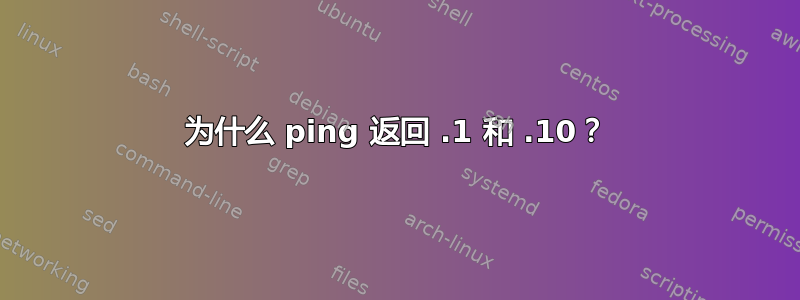 为什么 ping 返回 .1 和 .10？