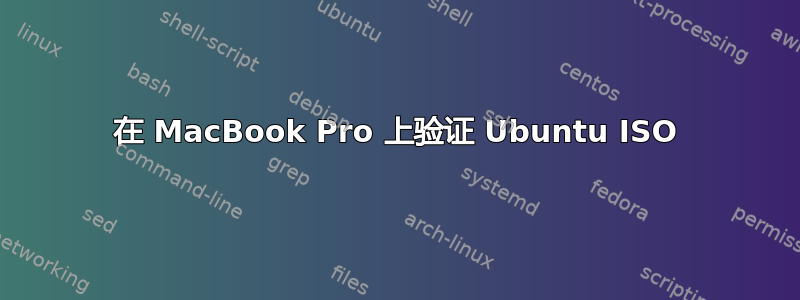 在 MacBook Pro 上验证 Ubuntu ISO