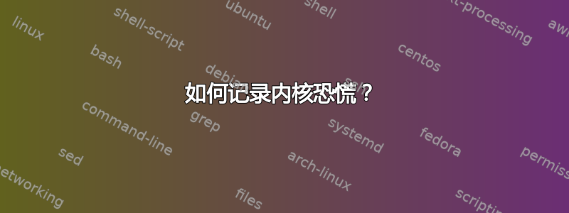 如何记录内核恐慌？