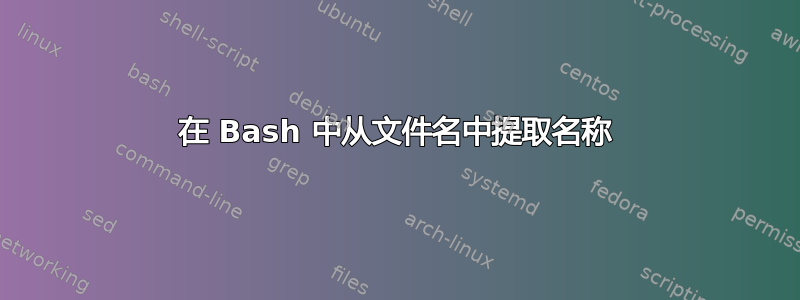 在 Bash 中从文件名中提取名称