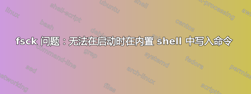 fsck 问题：无法在启动时在内置 shell 中写入命令