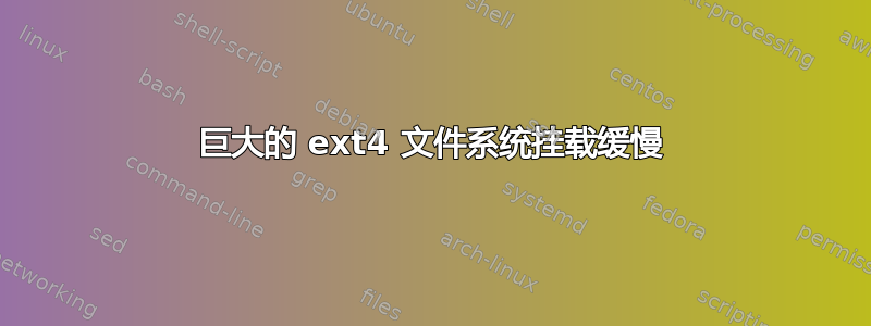 巨大的 ext4 文件系统挂载缓慢