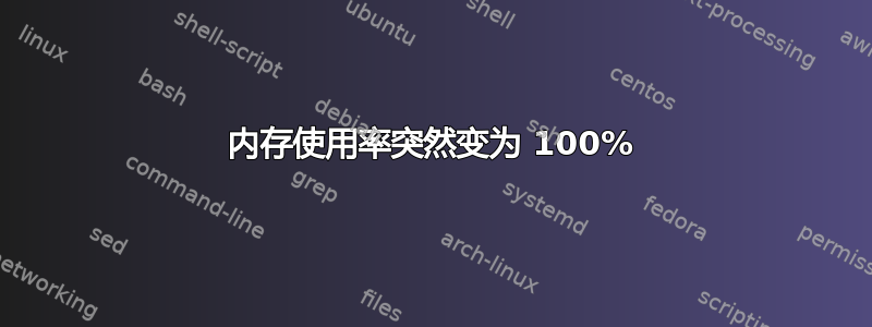 内存使用率突然变为 100%