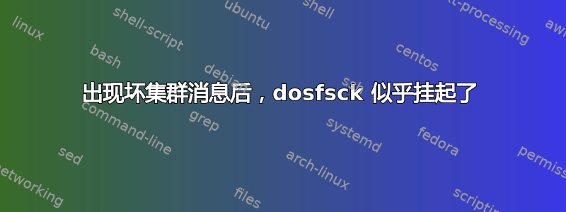 出现坏集群消息后，dosfsck 似乎挂起了