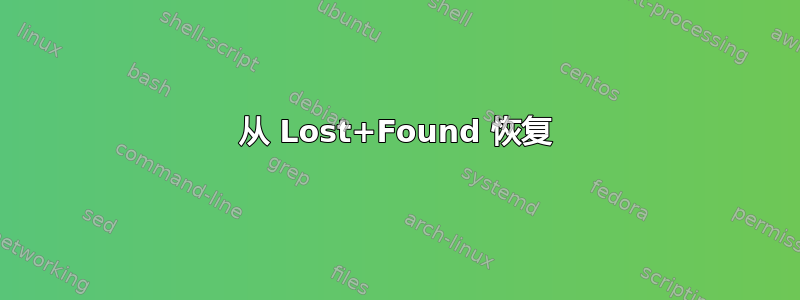 从 Lost+Found 恢复