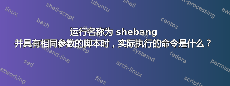 运行名称为 shebang 并具有相同参数的脚本时，实际执行的命令是什么？