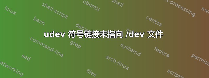 udev 符号链接未指向 /dev 文件