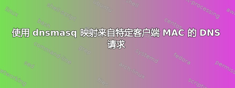 使用 dnsmasq 映射来自特定客户端 MAC 的 DNS 请求