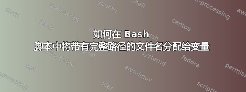 如何在 Bash 脚本中将带有完整路径的文件名分配给变量