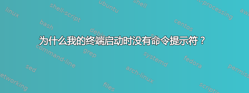 为什么我的终端启动时没有命令提示符？