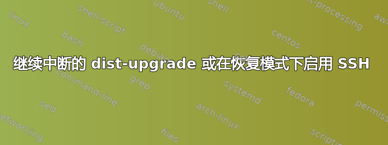 继续中断的 dist-upgrade 或在恢复模式下启用 SSH