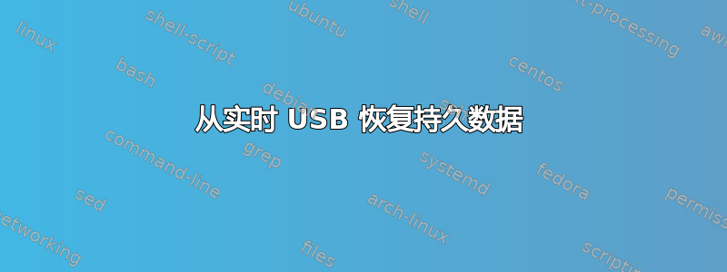 从实时 USB 恢复持久数据