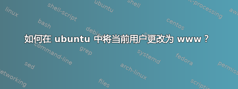 如何在 ubuntu 中将当前用户更改为 www？