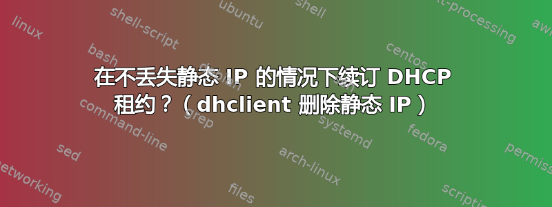 在不丢失静态 IP 的情况下续订 DHCP 租约？（dhclient 删除静态 IP）