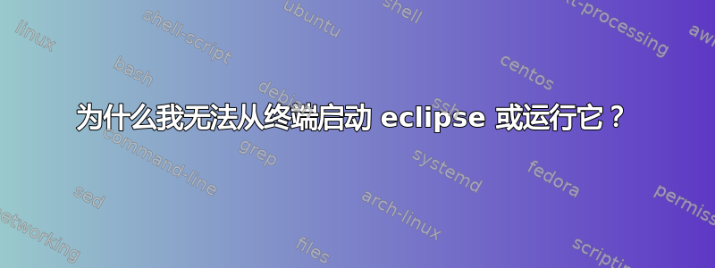 为什么我无法从终端启动 eclipse 或运行它？