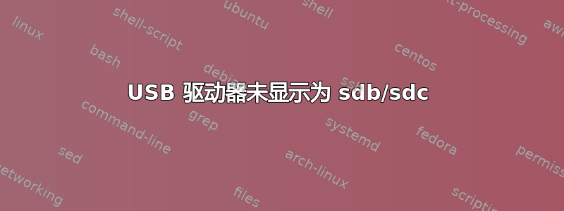 USB 驱动器未显示为 sdb/sdc