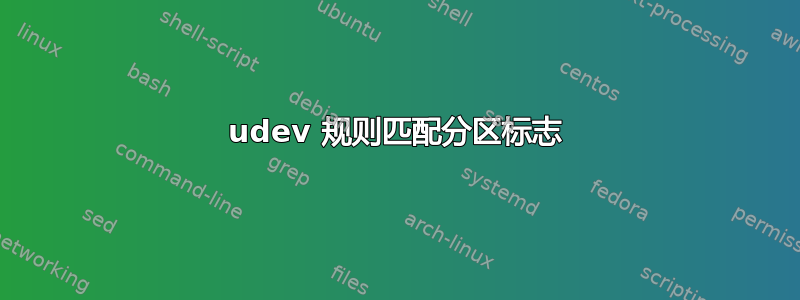 udev 规则匹配分区标志