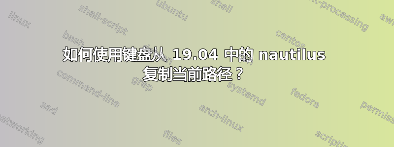 如何使用键盘从 19.04 中的 nautilus 复制当前路径？