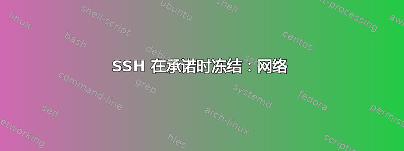 SSH 在承诺时冻结：网络