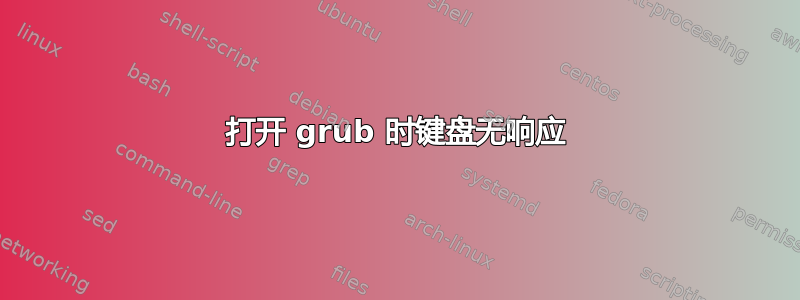 打开 grub 时键盘无响应