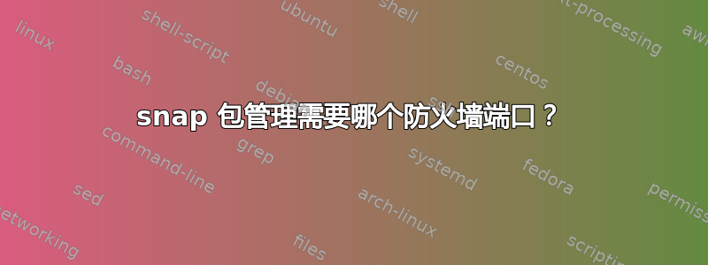 snap 包管理需要哪个防火墙端口？