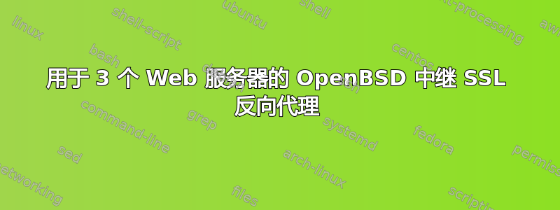 用于 3 个 Web 服务器的 OpenBSD 中继 SSL 反向代理