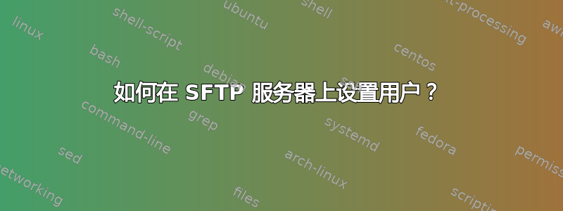 如何在 SFTP 服务器上设置用户？