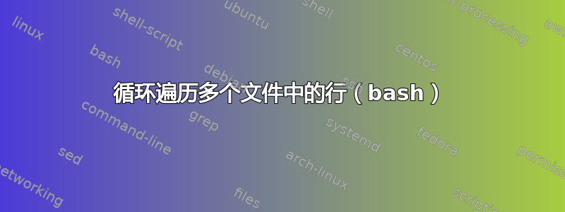 循环遍历多个文件中的行（bash）