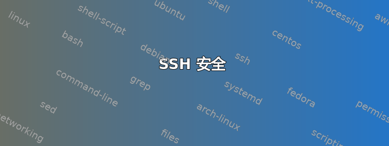 SSH 安全