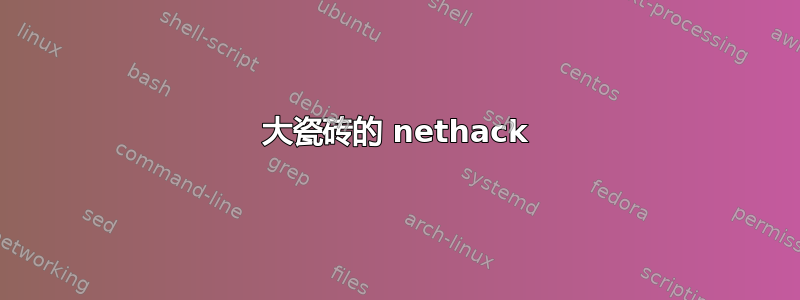 大瓷砖的 nethack