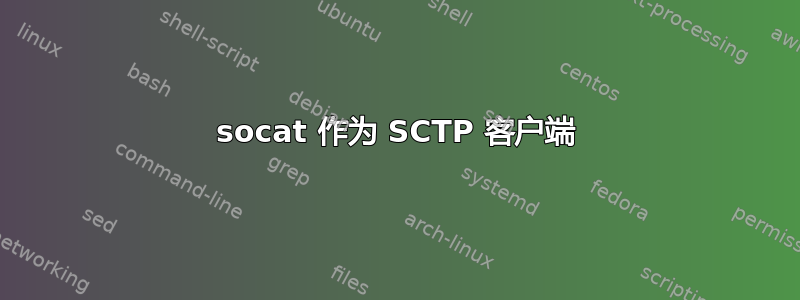 socat 作为 SCTP 客户端