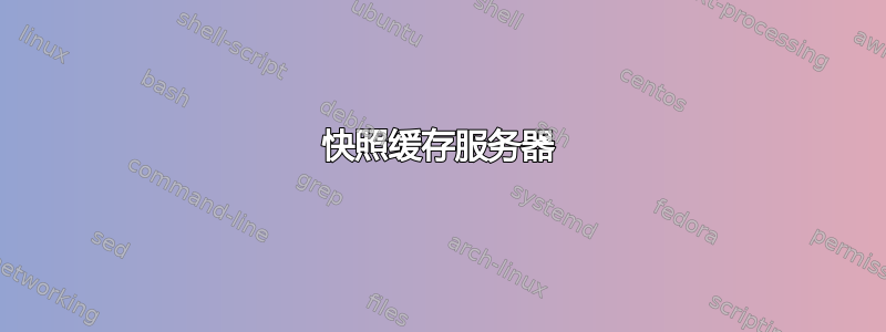 快照缓存服务器