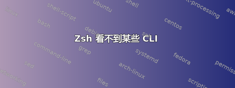 Zsh 看不到某些 CLI