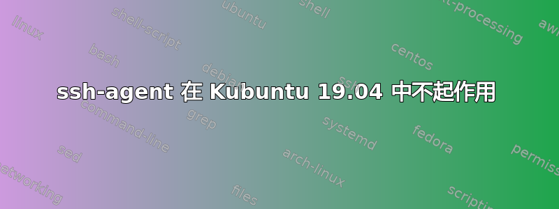 ssh-agent 在 Kubuntu 19.04 中不起作用