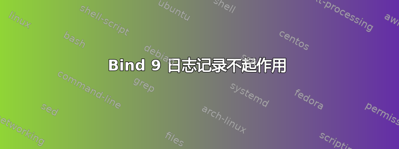 Bind 9 日志记录不起作用