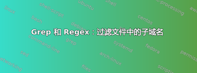 Grep 和 Regex：过滤文件中的子域名