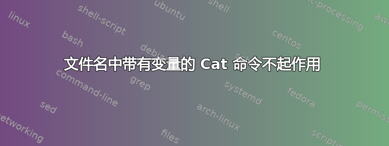 文件名中带有变量的 Cat 命令不起作用