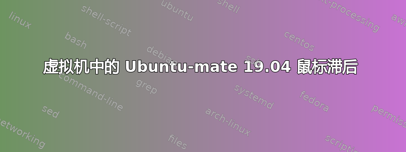 虚拟机中的 Ubuntu-mate 19.04 鼠标滞后