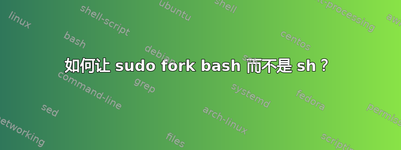 如何让 sudo fork bash 而不是 sh？